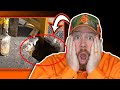 Expert Fence Builder Reacts to Fence Building FAILS on YouTube