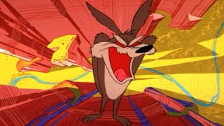 Wile E Coyote Falling Off The Cliff And Screaming