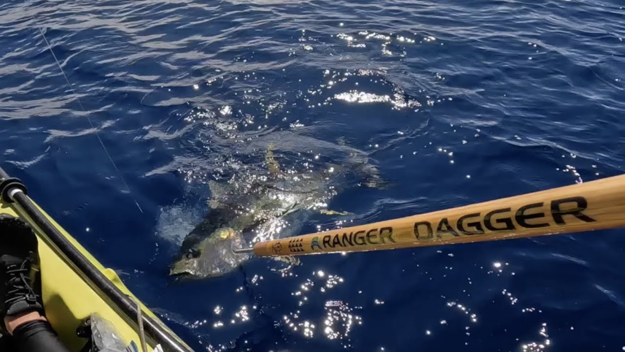 Boost Mode!! Triple Yellowfin Tuna Hawaii Kayak Fishing YouTube
