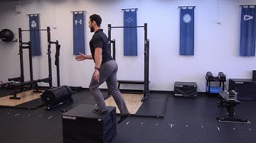 Alternating Step Up - Exercise Demonstration