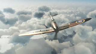 Montre AVI-8 SPITFIRE | AV-4090