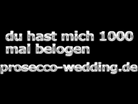 du hast mich 1000 mal belogen