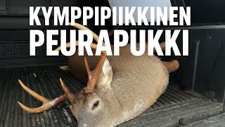 Peuran- Ja Kauriin Metsästystä 22.11.2025 Iso Sarvipää Nurin