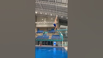 Back dive straight | 201a |  3m springboard | tips are welcome #diving #highdiving