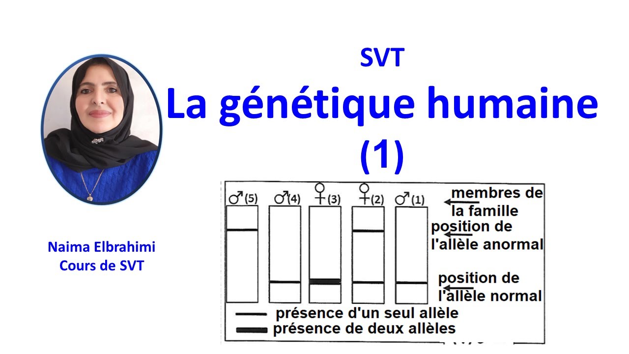 SVT-Bac-Biof-Génétique humaine:Caryotype-Arbre généalogique-Elécrophorèse- Allèle récessif autosomal