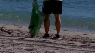 Volunteers at work during beach clean up on Saturday morning