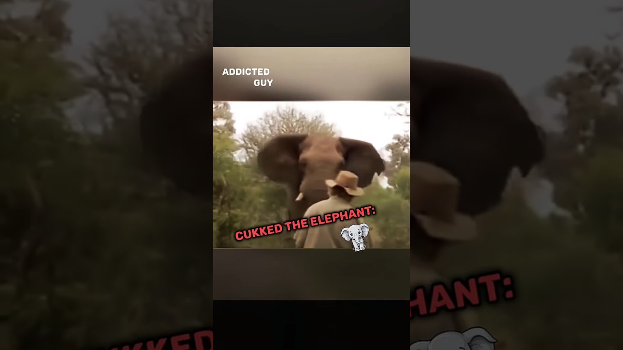 Bro Cooked The Elephant || Troll face || 