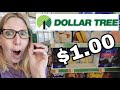 DOLLAR TREE *Price Drop BACK to $1.00 !! | Shop with me at Dollar Tree
