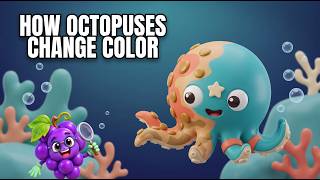 How Do Octopuses Change Color🐙 | 3-Minute English Science for Kids