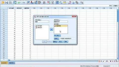 3.10 SPSS 对个案内值的计数