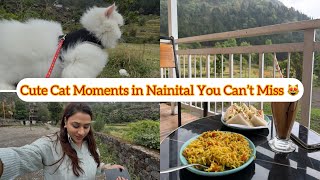 Mojo’s Mountain Vacation in Nainital 🏔️||Vlog 