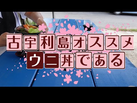 沖縄 古宇利島と言えばウニ丼 撮影 Vlogcam Zv 1 沖縄旅行 沖縄観光 穴場 Youtube 沖縄 古宇利島と言えばウニ丼 撮影 Vlogcam Zv 1 沖縄旅行 沖縄観光 穴場 Youtube