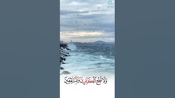 تلاوة خاشعة بصوت الشيخ وديع اليمني "حفظه الله "