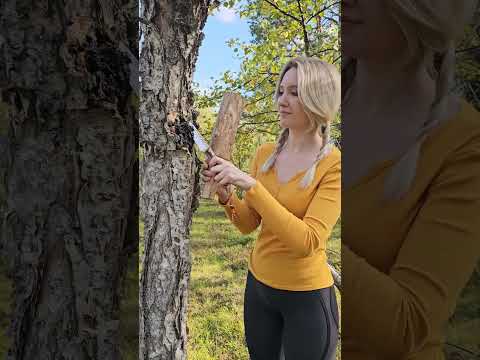 Boiling Tea In A Foil Bowl Survival Hack