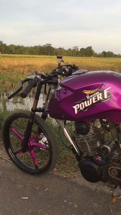 story wa herex tiger trondol❗️tiger power f#shortvideo