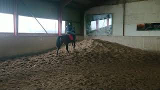 Starter Hold Rideskole