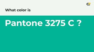 What Color Is Pantone 3275 C ? Hex Color - Green Color - Cool Color 00B398