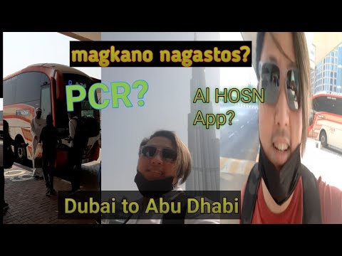 Video: Hur Mycket Kostar En Biljett Till Förenade Arabemiraten