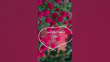 اللهم هذا النداء 💝  {ادْخُلُوهَا بِسَلَامٍ آمِنِينَ (46 )}سورة الحجر