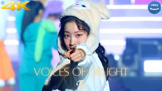 [4K] TWICE 'Voices of delight' OnceDay JAPAN in OSAKA FanMeeting