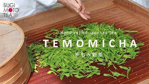 Temomicha - The Rare Hand-rolled Japanese Tea - 【手もみ新茶】