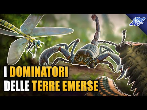 Video: I vertebrati si sono evoluti dagli artropodi?