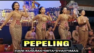 Pepeling bersama sinden hani kusuma mita dyah dan ima di wayangan ki mintodarsono @welatbumi