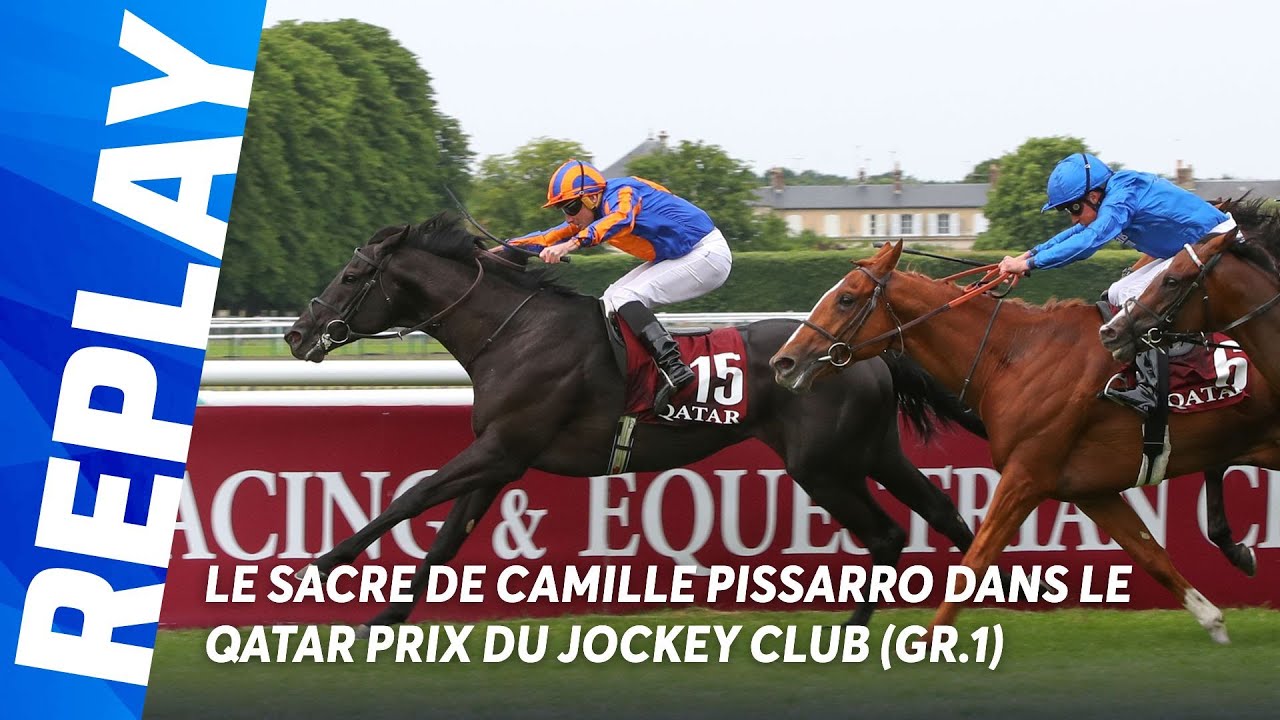 99年 ジョッケクルブ 仏ダービー優勝 競馬ゼッケン モンジュー MONTJEU モンジュー（Montjeu） | 競馬データベース | JRA-VAN World - 海外