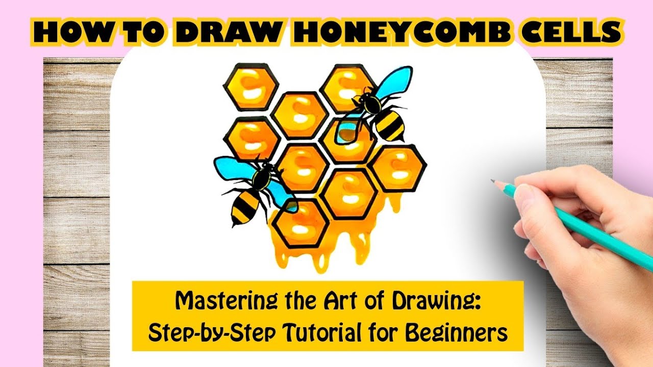 honeycomb drawing