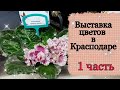 ВЫСТАВКА ЦВЕТОВ В КРАСНОДАРЕ/1 ЧАСТЬ/Комнатные и садовые растения.