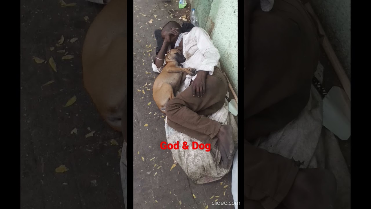 Man is a social animal