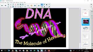 SMART Importing and Attaching Files SMART Notebook 17