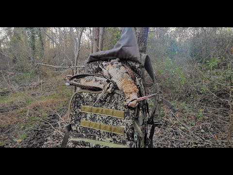 ნადირობა ტყის ქათამზე სამეგრელოში 🍂🍁ეპანიოლ ბრეტონებით. 30.11.2021. Охота на вальдшнепа зимой.