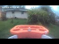 Bird 🐦 Video morning today 5/1/26