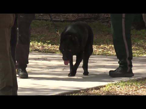 Hendry County Courthouse bomb threat leads to evacuation