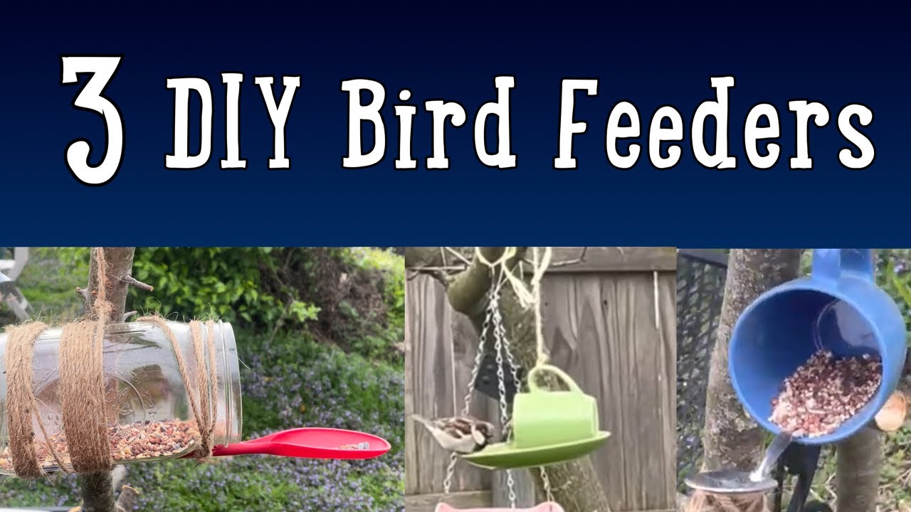 How To Make 3 Styles Of Bird Feeders YouTube How To Make 3 Styles Of Bird Feeders YouTube