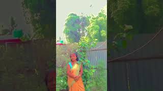শুভ দুপুর বন্ধুরা #morningmusic #lifeisbutadream #ihavethisthingwithplants #love