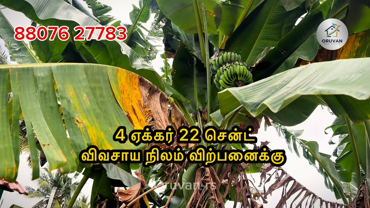 Low budget Agricultural Land for Sale | Black Soil | Strong Water Source | விவசாய நிலம் விற்பனைக்கு 