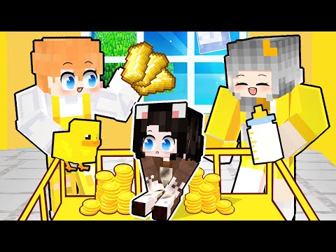 Mèo Simmy Nghèo Khổ Được Nhận Nuôi Bởi "GIA ĐÌNH SIÊU GIÀU CÓ" Trong Minecraft