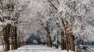 Let It Snow - Dean Martin