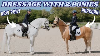 BRITISH DRESSAGE TEST SHOW WITH POPCORN AND OUR NEW PONY!