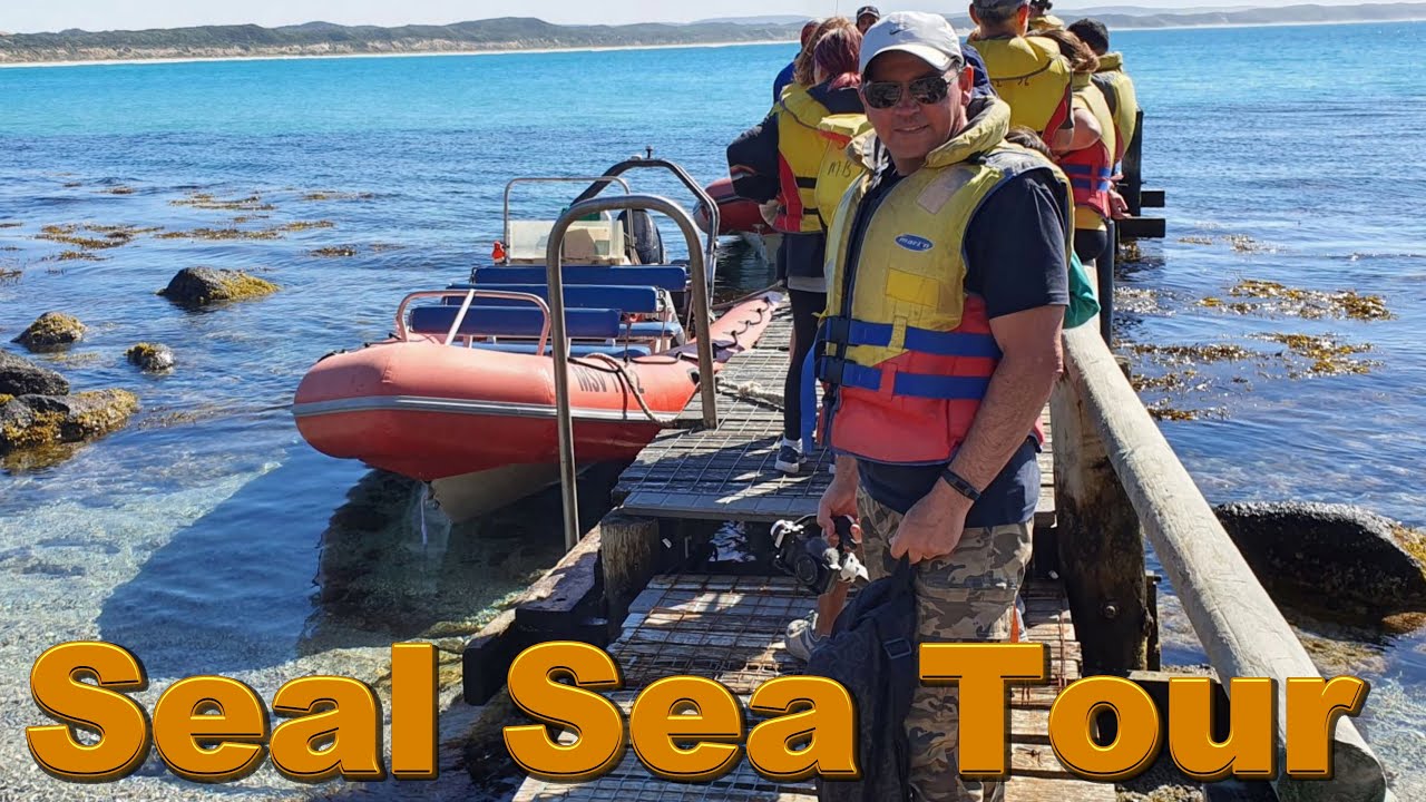 Must Do Seals by Sea Tour, Cape Bridgewater, Victoria.