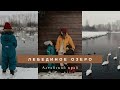Лебединое озеро. Алтайский край. 2021