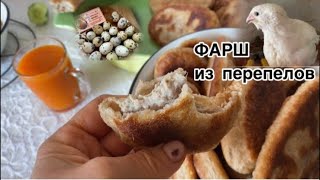 Готовим Беляши, начинка фарш с мяса перепела//Техасский мясной перепел Хитрук Елена Украина