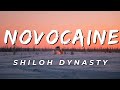 Shiloh Dynasty - Novocaine (Lyrics)