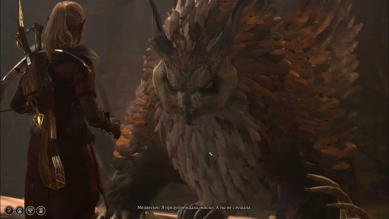 медвесыч что делать. медвесыч что делать. медвесыч что делать. Baldur's gate 3 lae'zel. Baldur's gate 3 медвесыч.