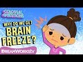 Why do we get brain freeze  colossal questions