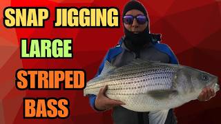 SNAP JIGGING LARGE STRIPED BASS