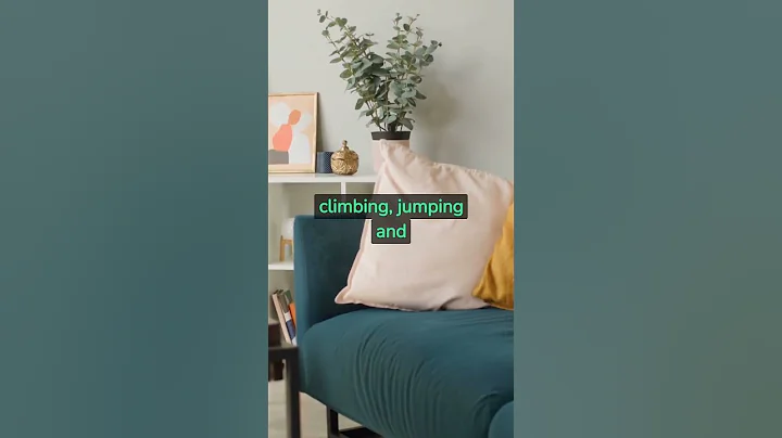 Watch the video about Fun Facts about Bengal Cats