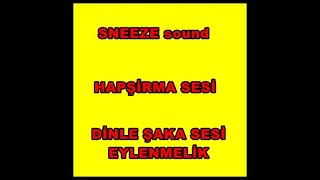 HAPŞİRMA SESİ  SNEEZE sound Resimi